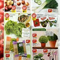 folheto pingo doce 19 a 25 maio_6.jpg